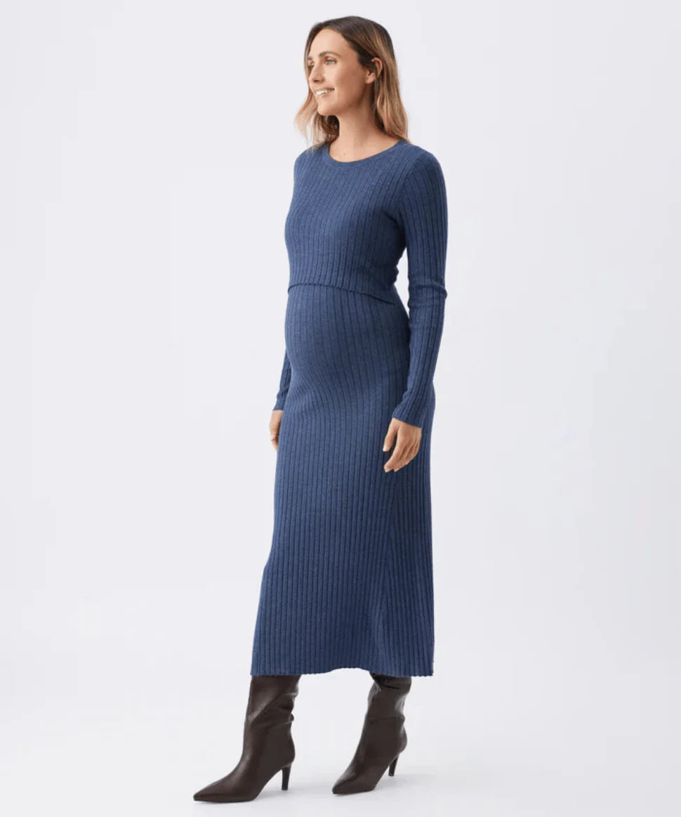 Eden nursing dress